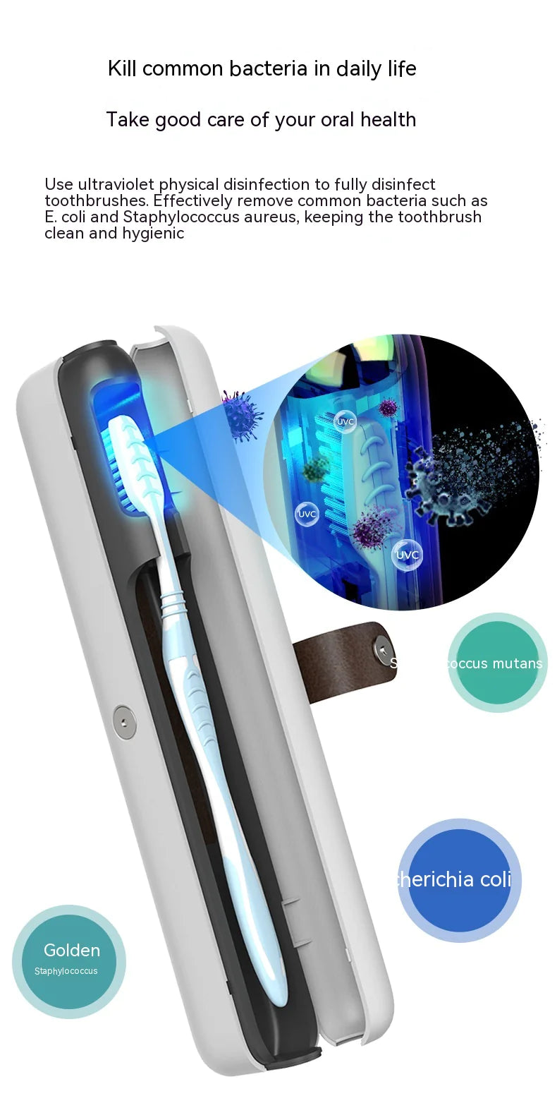 Smart UV Toothbrush Sanitizing Travel Case